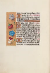 Horas da rainha Isabel, a católica, rainha da Espanha: Fol. 19v, c. 1500.