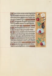 Horas da rainha Isabel, a católica, rainha da Espanha: Fol. 204r, c. 1500.
