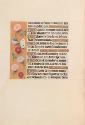 Horas da rainha Isabel, a católica, rainha da Espanha: Fol. 209v, c. 1500.