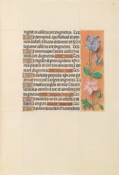 Horas da rainha Isabel, a católica, rainha da Espanha: Fol. 214r, c. 1500.