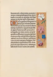 Horas da rainha Isabel, a católica, rainha da Espanha: Fol. 218r, c. 1500.