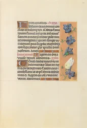 Horas da rainha Isabel, a católica, rainha da Espanha: Fol. 226r, c. 1500.