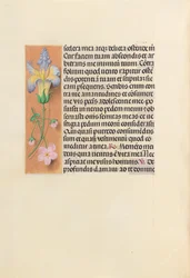 Horas da rainha Isabel, a católica, rainha da Espanha: Fol. 237v, c. 1500.