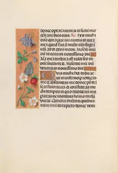 Horas da rainha Isabel, a católica, rainha da Espanha: Fol. 238v, c. 1500.