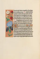 Horas da rainha Isabel, a católica, rainha da Espanha: Fol. 245v, c. 1500.