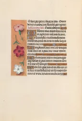 Horas da rainha Isabel, a católica, rainha da Espanha: Fol. 246v, c. 1500.