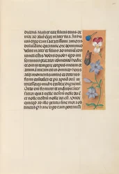 Horas da rainha Isabel, a católica, rainha da Espanha: Fol. 263r, c. 1500.