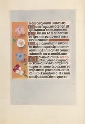 Horas da rainha Isabel, a católica, rainha da Espanha: Fol. 268v, c. 1500.