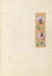 Horas da rainha Isabel, a católica, rainha da Espanha: Fol. 279r, c. 1500.
