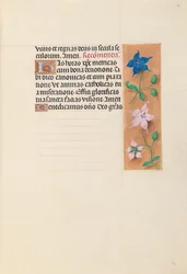 Horas da rainha Isabel, a católica, rainha da Espanha: Fol. 30r, c. 1500.