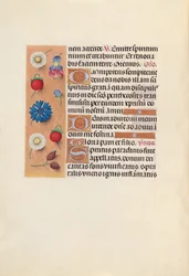 Horas da rainha Isabel, a católica, rainha da Espanha: Fol. 34v, c. 1500.
