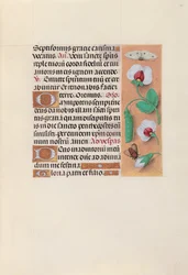 Horas da rainha Isabel, a católica, rainha da Espanha: Fol. 35r, c. 1500.