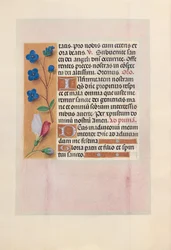 Horas da rainha Isabel, a católica, rainha da Espanha: Fol. 38v, c. 1500.