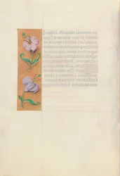 Horas da rainha Isabel, a católica, rainha da Espanha: Fol. 49v, c. 1500.