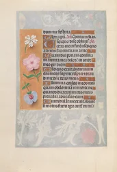 Horas da rainha Isabel, a Católica, rainha de Espanha:  Fol. 57v