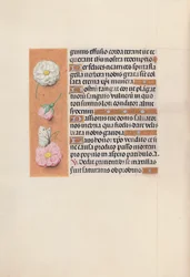 Horas da rainha Isabel, a católica, rainha da Espanha: Fol. 58v, c. 1500.