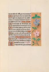 Horas da rainha Isabel, a católica, rainha da Espanha: Fol. 62r, c. 1500.
