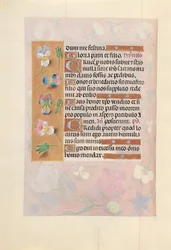 Horas da rainha Isabel, a católica, rainha da Espanha: Fol. 66v, c. 1500.