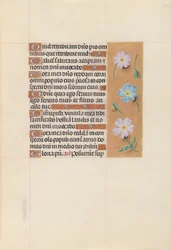 Horas da rainha Isabel, a católica, rainha da Espanha: Fol. 67r, c. 1500.