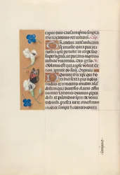 Horas da rainha Isabel, a Católica, rainha de Espanha:  Fol. 67v