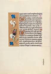 Horas da rainha Isabel, a católica, rainha da Espanha: Fol. 67v, c. 1500.