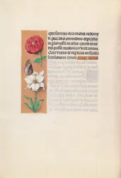 Horas da rainha Isabel, a Católica, rainha de Espanha:  Fol. 76v
