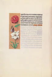 Horas da rainha Isabel, a católica, rainha da Espanha: Fol. 76v, c. 1500.