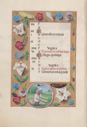Horas da rainha Isabel, a católica, rainha da Espanha: Fol. 7v, junho, c. 1500.