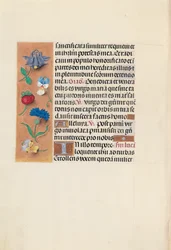 Horas da rainha Isabel, a católica, rainha da Espanha: Fol. 90v, c. 1500.