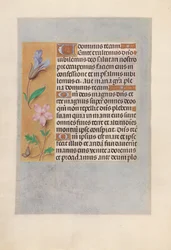 Horas da rainha Isabel, a católica, rainha da Espanha: Fol. 98v, c. 1500.