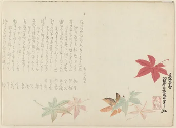 bordo japonês