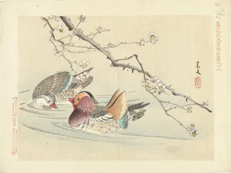 Dois patos Flower and Bird Sketches from Keibun- parte um (título da série) Caneta Keibun kacho gafu zen (título da série no objeto)