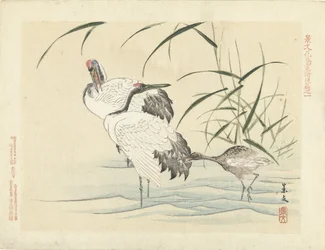 Dois guindastes com jovens Flower and Bird Sketches from Keibun - parte três (título da série) Keibun kacho gafu kohen (título da série no objeto)