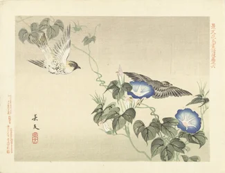 Dois pássaros voando por trepadeira azul Flower and Bird Sketches from Keibun - parte três (título da série) Keibun kacho gafu kohen (título da série no objeto)