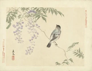 Pássaro no galho de glicínias Flower and Bird Sketches of Keibun - parte três (título da série) Keibun kacho gafu kohen (título da série no objeto)