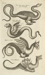 Tab XII, criaturas míticas, dragões, ilustração de 