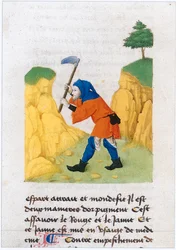 Le Livre des simples medecines - tradução para francês do manuscrito latino do século XII de Matthaeus Platearius (pergaminho)