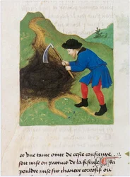 Le Livre des simples medecines - tradução para francês do manuscrito latino do século XII de Matthaeus Platearius (pergaminho)