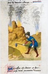 Le Livre des simples medecines - tradução para francês do manuscrito latino do século XII de Matthaeus Platearius (pergaminho)