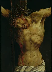 A Crucificação do Retábulo de Isenheim, pormenor do torso de Cristo, c. 1512-16, pormenor
