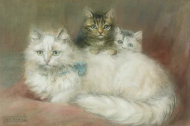 Um gato persa e seus gatinhos