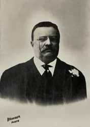 Retrato de Theodore Roosevelt, presidente dos Estados Unidos (1858)
