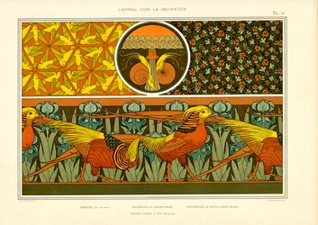 Padrões decorativos ornamentais com faisões, pássaros e joaninhas (litografia)