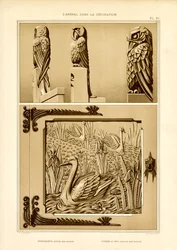 Desenhos de artes decorativas com motivos de papagaio, águia e cisne (litografia)