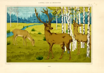 Veado numa paisagem de floresta de bétulas (litografia)