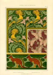 Motivos de animais exóticos: catatuas, borboletas e cangurus (litografia)