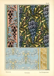 O Glycine (cor litho)