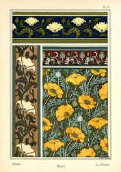 A papoila (cor litho)