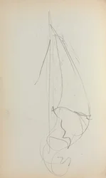 Sketchbook italiano: Vela (página 73)