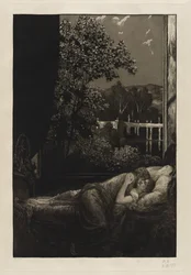Noite [Felicidade]